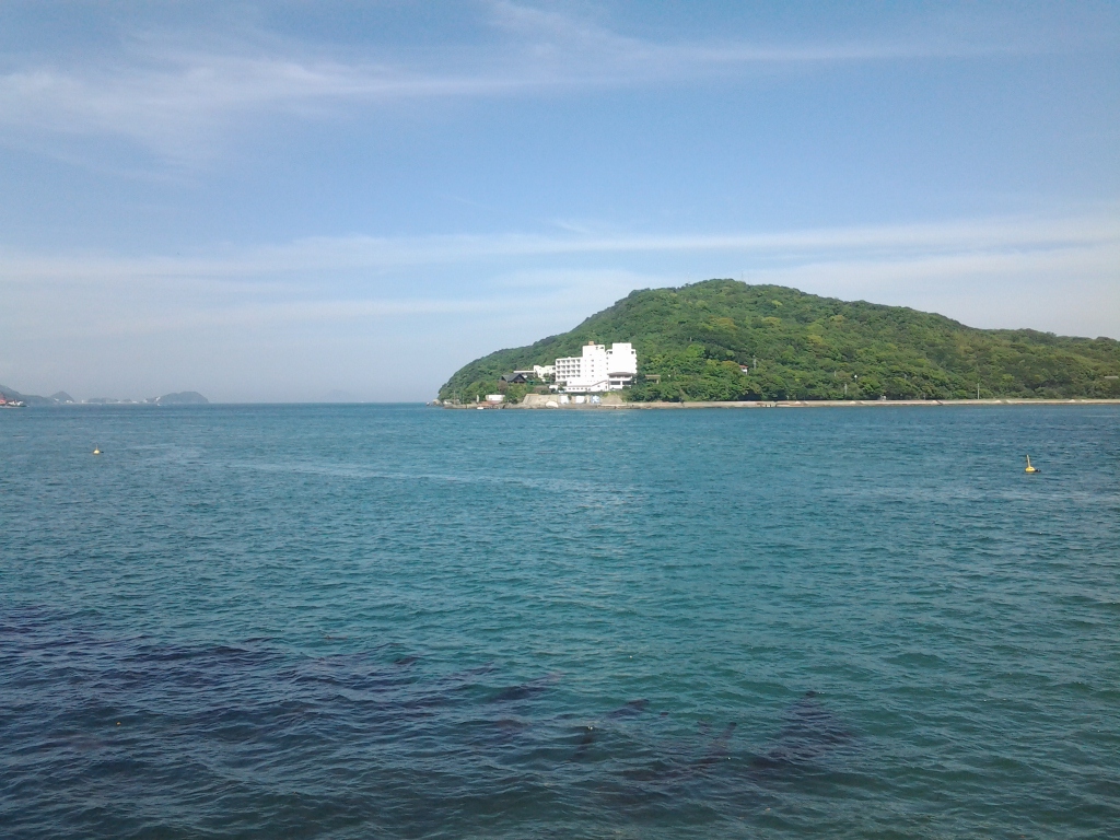 20140528_カモメの散歩道　坂手島